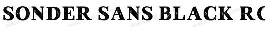 Sonder Sans Black Ro字体转换